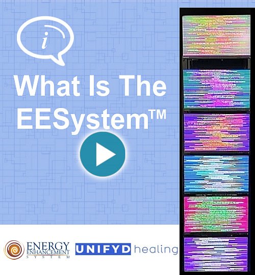 What Is The EESystem